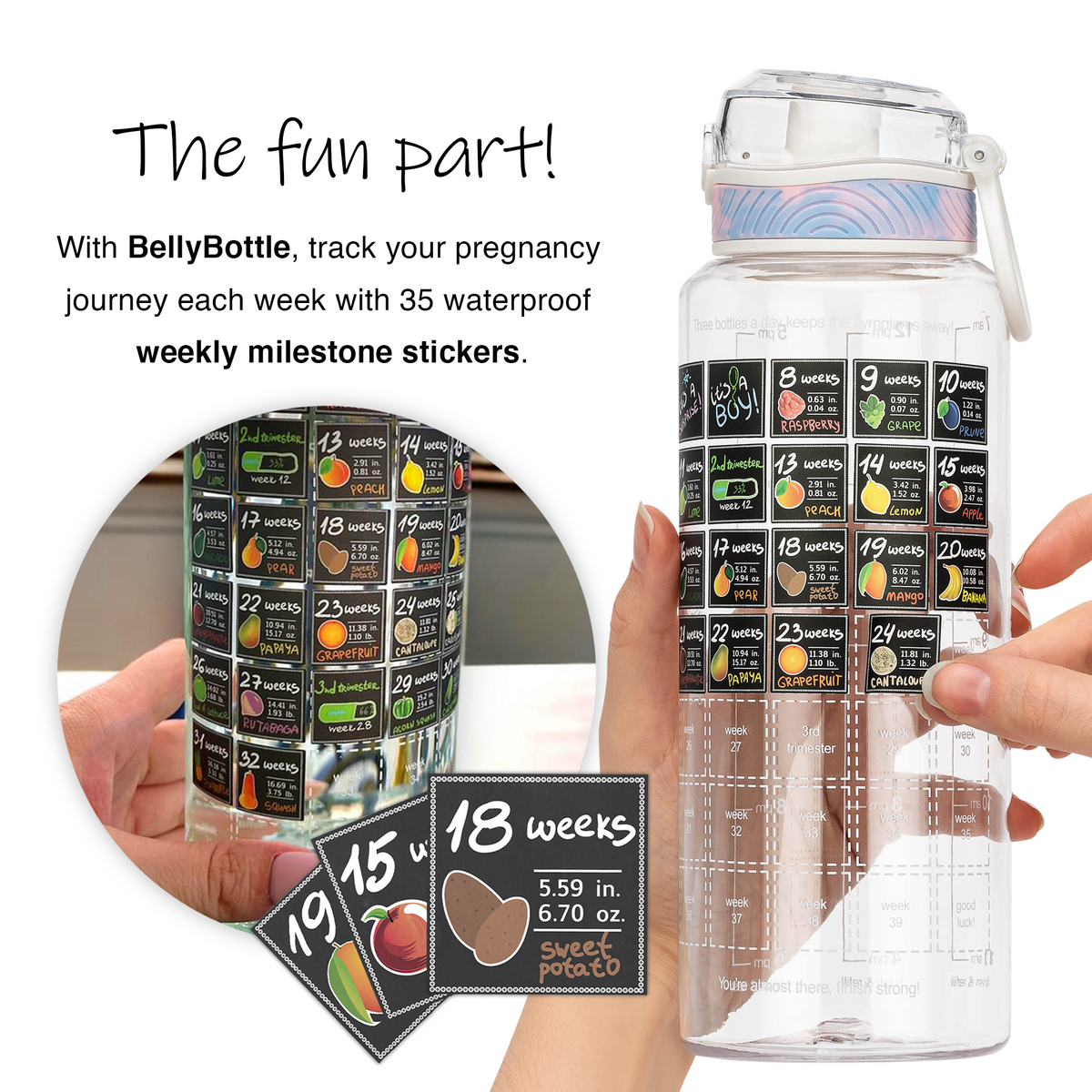 BELLYBOTTLE Pregnancy Water Bottle Intake Tracker with Weekly Milestone  Stickers