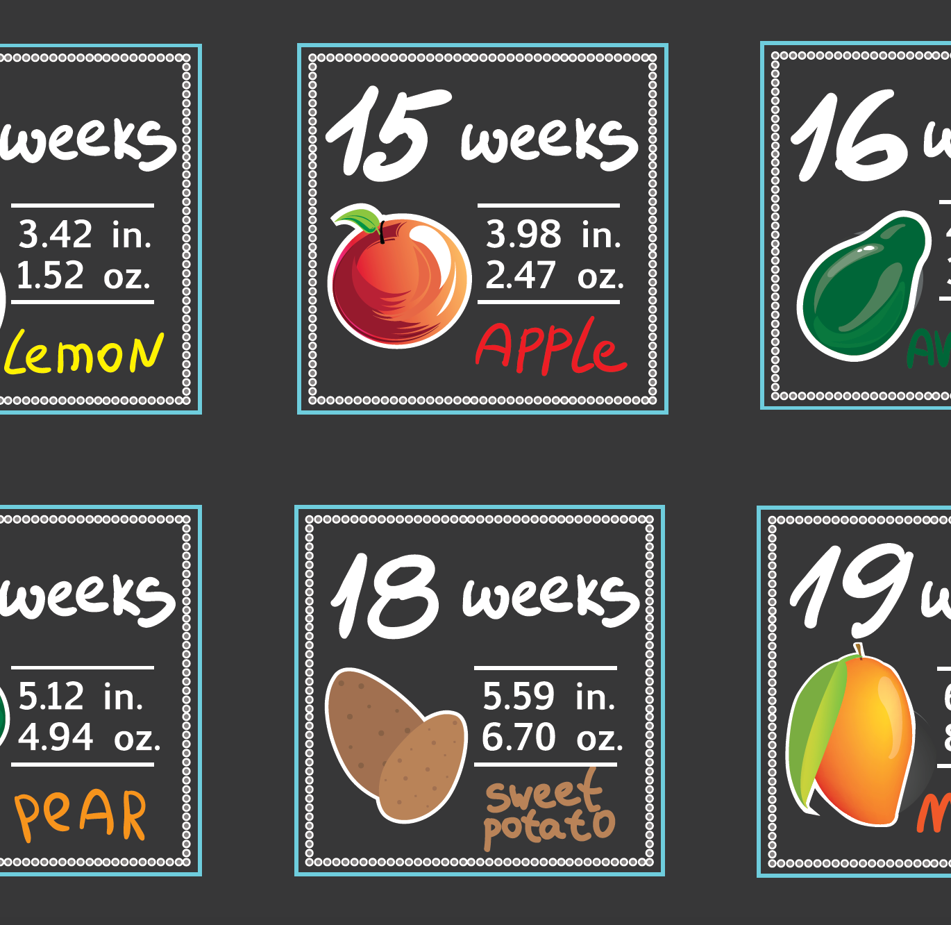 BellyBottle Pregnancy Water Bottle Intake Tracker with Weekly Milestone  Stickers